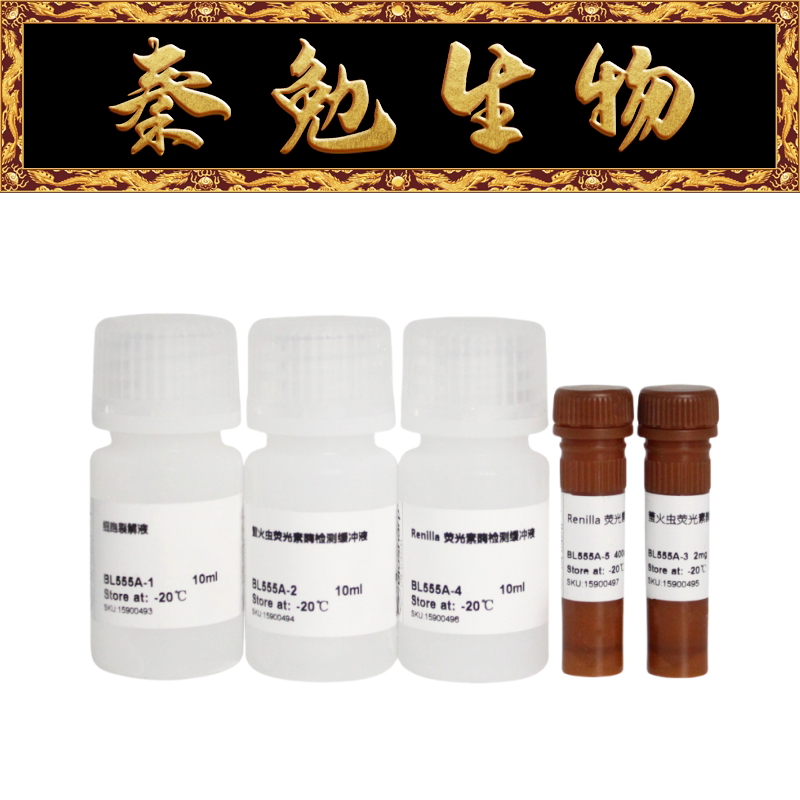 Biosharp白鲨 BL555A 双萤光素酶报告基因检测试剂盒