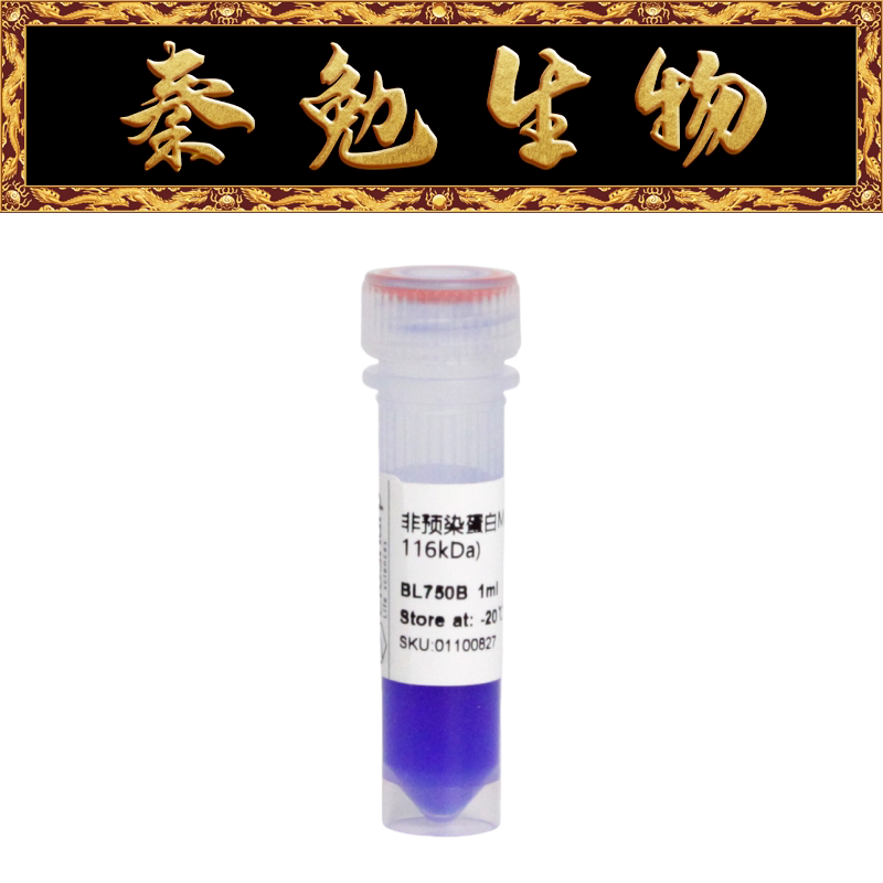 Biosharp白鲨 BL750B 非预染蛋白Marker（14.4-116kDa）