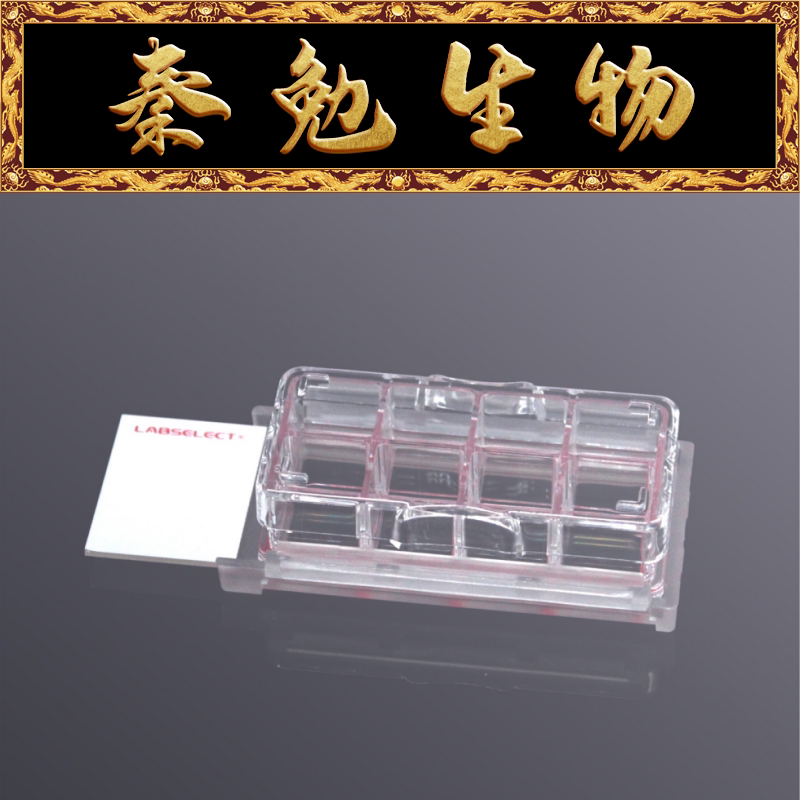 LABSELECT甄选 CS-08-TC 细胞培养腔室载玻片 8孔 TC处理