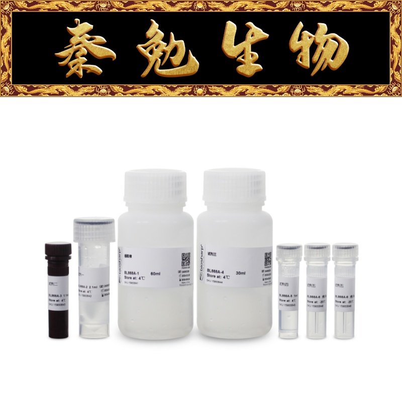 Biosharp白鲨 BL868A 乳酸（LA）含量测定试剂盒 分光法