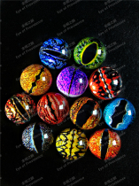 Glazed glass Yiye eyesaurus eyesaurus Eye Lizard lizard Eye DIY eyes Eye Hand-eye All Eyes 5