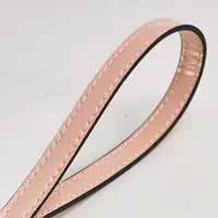 Horcho-Shiny Leather Land, держащая 1,2 см-золотого пряжки