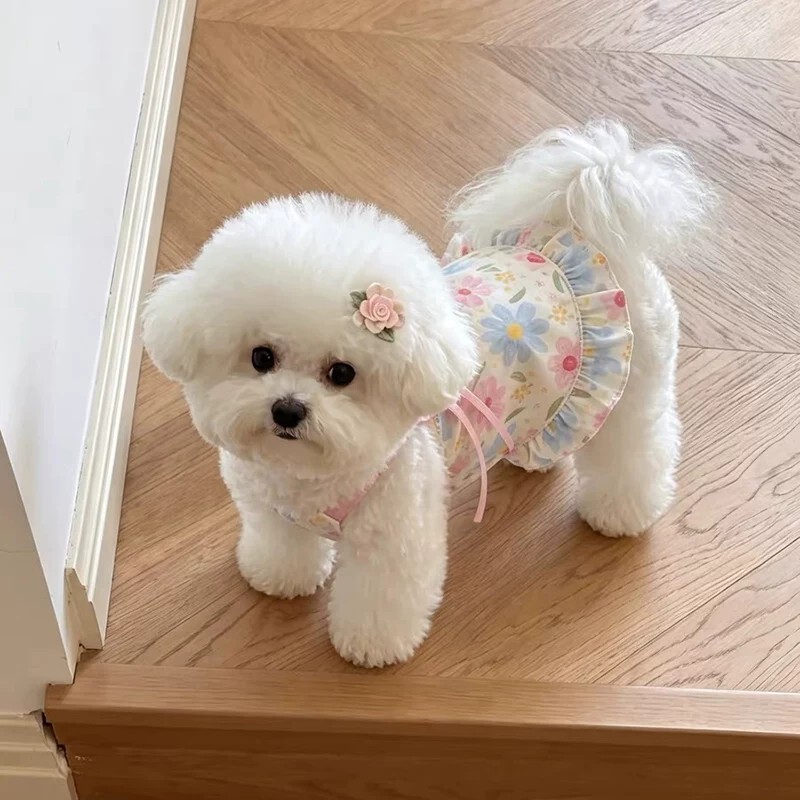 Pet Dog Clothes Spring and Summer Sweet Suspender Dress Small Dog Bichon Teddy Soft and Cute Princess Dress