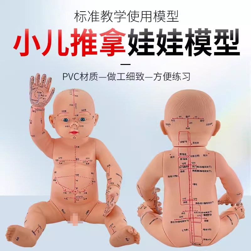 针灸人体模型娃娃小儿推拿教学仿真模型15CM训练手