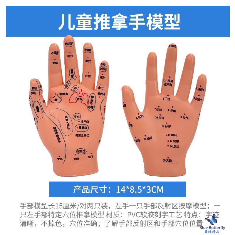 刻字工艺手部穴位小儿推拿模型 特定穴手部穴反射区左手针灸模型