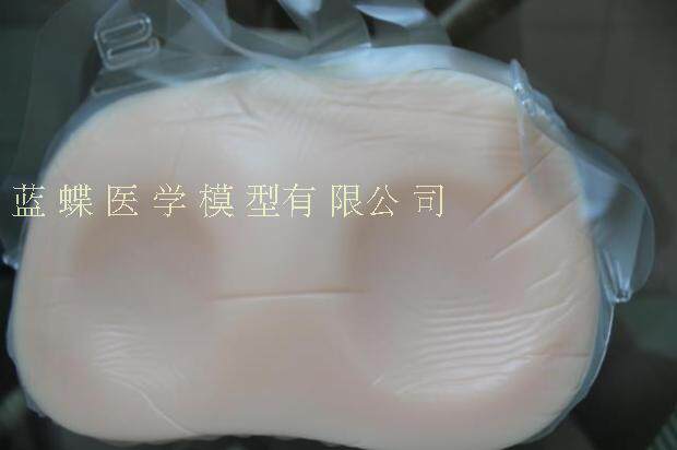 Coques pour soutien-gorge - Ref 818122 Image 22