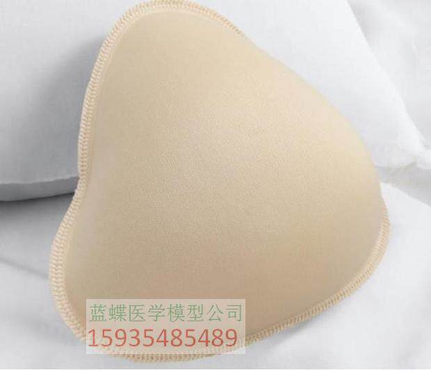 Coques pour soutien-gorge - Ref 815310 Image 7