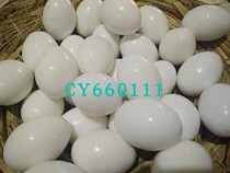 Factory direct solid fake pigeon eggs raising pigeon eggs hatch eggs to replace fake eggs pigeon supplies