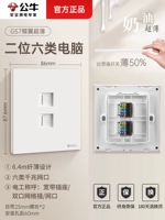 Двухветные 6 -типы компьютеров (гигабитная сеть скорости)