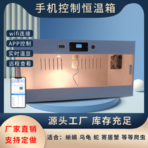 Mobile WiFi rutin chicken breeding box climbing pet lion lizard pvc incubator gecko hedgehog snake tortoise cross-border