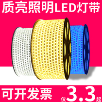 LED light strip Living room ceiling light tube Colorful color change line light Super bright waterproof light strip 220v outdoor decorative light strip