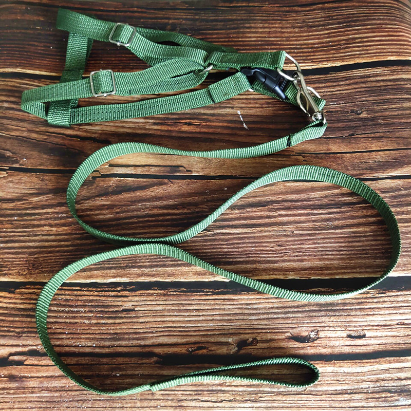 Pet Supplies Chest Back Traction with chain Dog rope Item Circle Baby Bag Green Suitable for large dogs