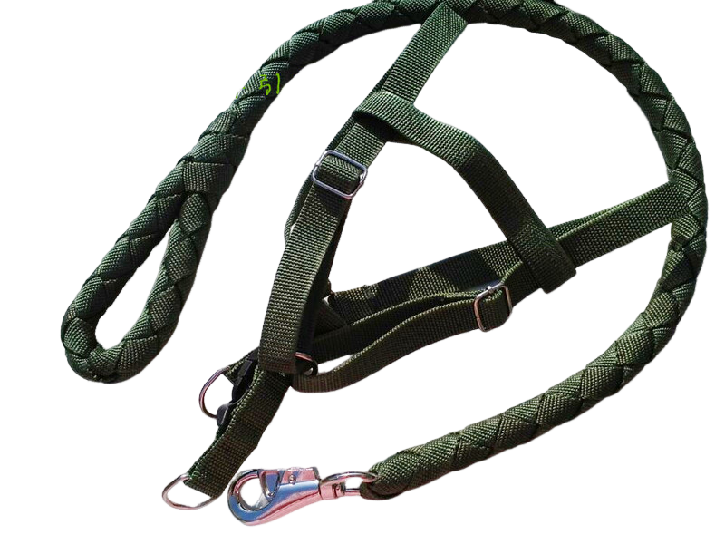 Pet Supplies Traction Rope Dog Chain Subthoracic Dorsal Dog Rope Dog Neck Bush Neckline Large Dog Type Dog Suit Bull Head-Taobao