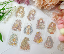 Cat Orange_orangecat new small hair re-engraved PET spot tape