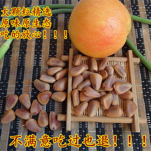 Pine Changbai Mountain Original ecological unprocessed large particles Northeast specialty 500 grams