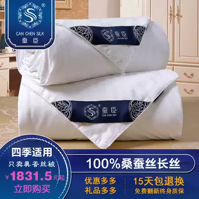 Tongxiang 100% pure handmade mulberry silk t net weight 3 5kg special winter warm two-in-one mother quilt core thickened type