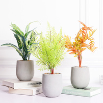 Simulation plant living room flower arrangement dry flower pot ornaments Nordic home dining table bar counter decoration green plant decorations