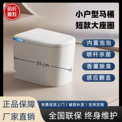 Short 55cm Small Apartment Smart Toilet Instant-heating Water Pressure Restriction Built-in Foam Shield Aromatherapy For Home Toilet
