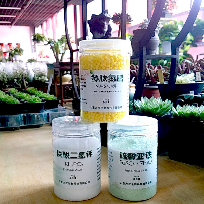 Potassium Dihydrogen Phosphate Flower Fertilizer Potted Organic Fertilizer Household Ferrous Sulfate Flower Cvia Special Fertilizer Phosphorus and Potassium Fertilizer