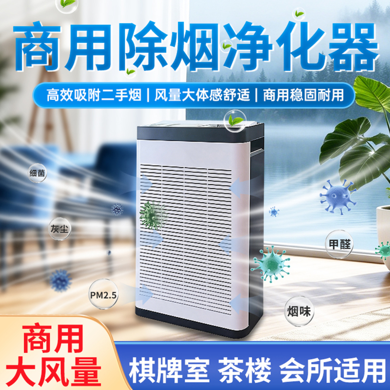 Negative Ion Air Purifier Removes Smoke, Aldehyde Odor, Chess and Card Room, Teahouse, Pm2.5 Dust, High-Efficiency Adsorption Filter