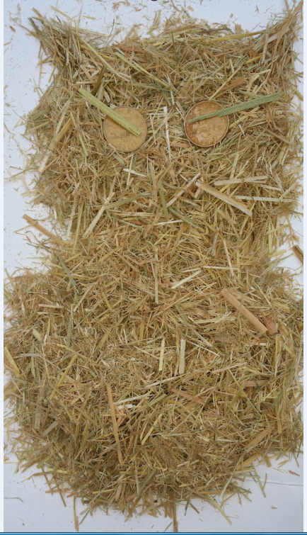 Ditoxa mud grass straw slope protects green green ancient building powder surface, rubbed straw 250g
