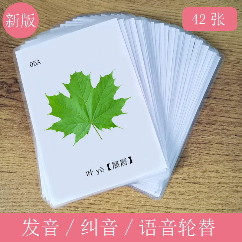 Correction pronunciation card-style language development aba cognitive training rehabilitation teaching aids for children with autism and autism