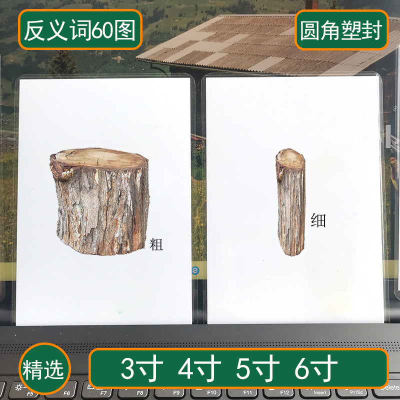 Antonym Card Autism Children Language Training Card Cognitive Teaching Aids Matching Relative Words Autism Rehabilitation