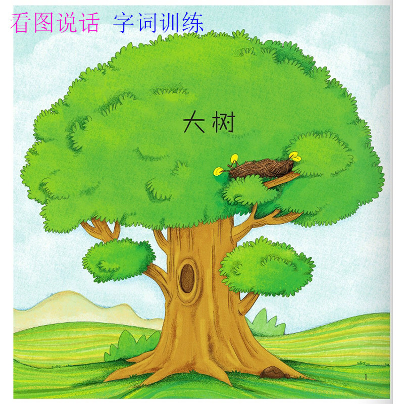 Look at the picture, talk words, training cards, language retardation, rehabilitation training aids, kindergarten children's teaching materials cards