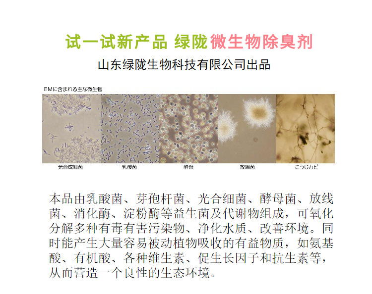 nước lau sàn Trang trại rác, lò mổ, hồ nước thải, nhà vệ sinh khô, hố, loại bỏ amoniac đặc biệt, mùi hôi, khử mùi vi sinh - Trang chủ dung dịch tẩy rửa không chạm 999