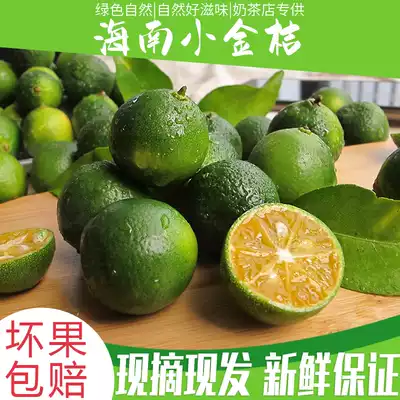 Hainan thin skin small kumquat fresh green kumquat small lemon green Orange Orange 3kg fresh fruit seasonal pick