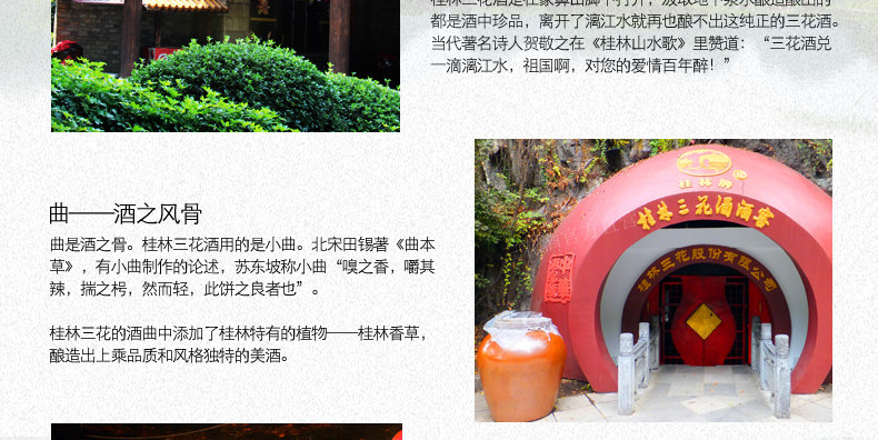 Sanhua Winery ВВЕДЕНИЕ-Description_17.jpg
