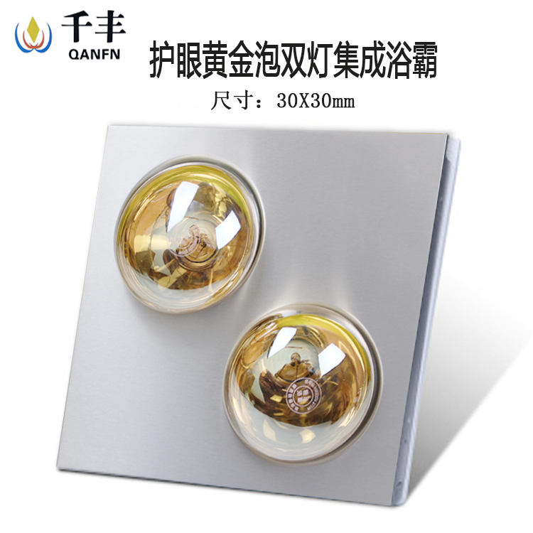 Single-lamp double light integrated ceiling aluminium buckle plate Two-lamp bath Embedded Bathroom MAKEUP ROOM GOLD PIPE HEATING LAMP