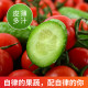 Cherry tomato fruit and cucumber combination 2Jin [Jin equals 0.5kg]/4Jin [Jin equals 0.5kg] Fresh raw single fruit