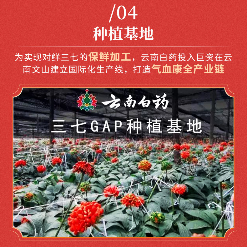 云南白药 气血康口服液 10mL*20支盒装*2件 双重优惠折后￥155