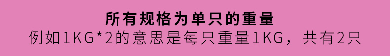 成人儿童舞蹈跑步绑腿绑手沙袋