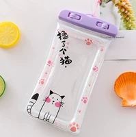 Flacs Sands-я получил кошку