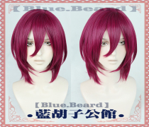 (Blue Beard) seven kinds of Z Idol dream festival 2wiki cosplay snake sauce wig big head leather custom