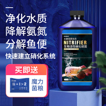 Nitrobacteria Bacterial Fish Tank With Net Aqua Fish Drug Digestive Live Bacteria Purifying Water Quality Stabilizer Nitrobacteria Fish Fish Products