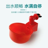 Куриная питьевая вода миска с голубь