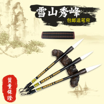 The snow-capped mountains Xiufeng chun yang hao brush zhong kai zhuan li liu yan abiding regular script cursive beginners dedicated calligraphy class traditional Chinese painting