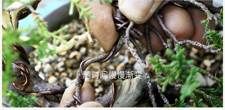 洗车机什么品牌好洗车机什么牌子好什么牌子的洗车机比较好洗车机十大排名