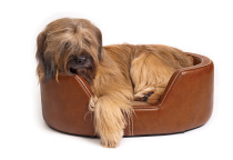 British WS distinguished quality series leather dog kennel cowhide pet kennel