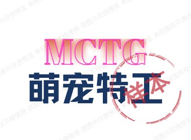 萌宠特工