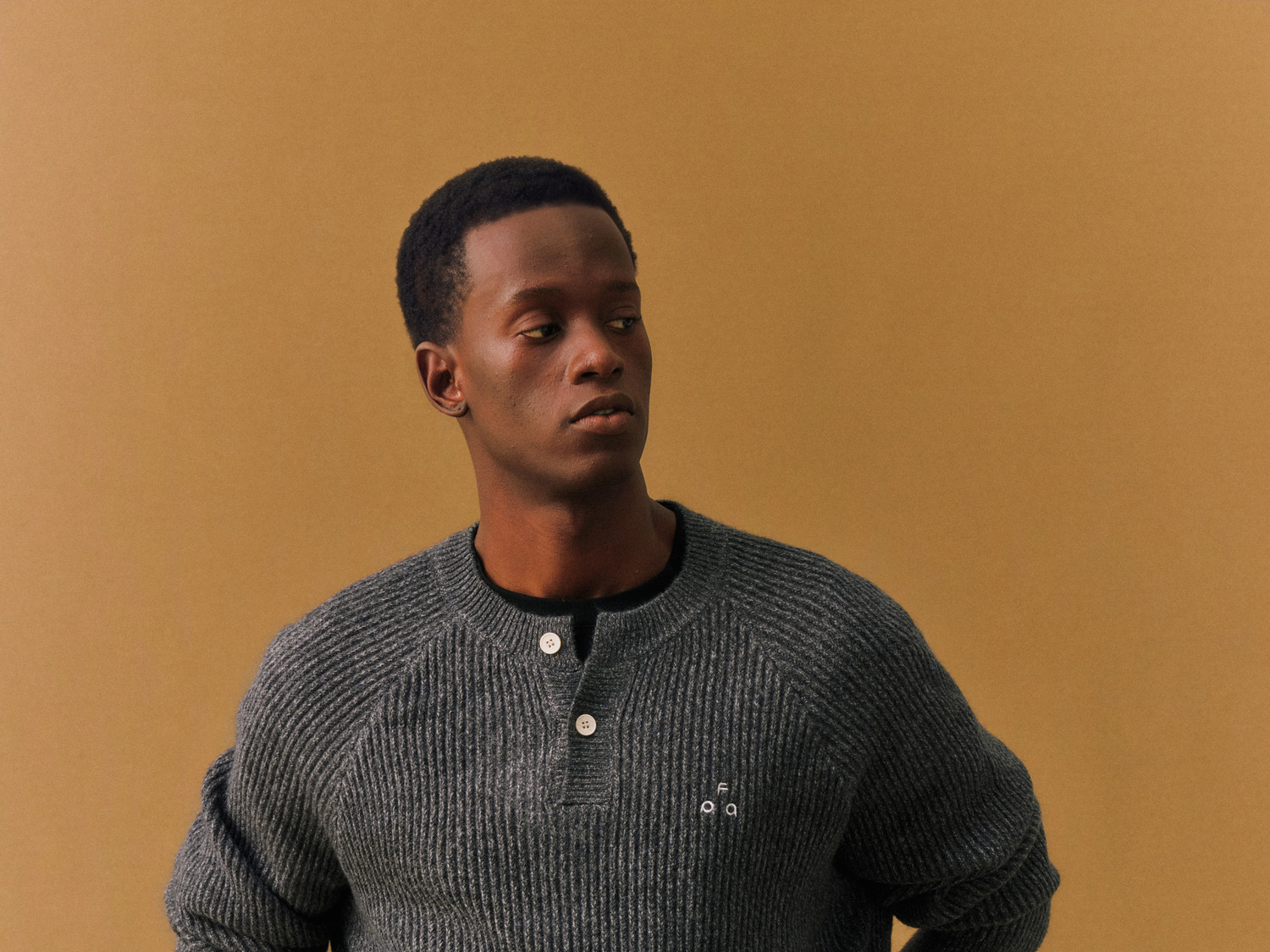 FPA Cable-Knit Color-Block Henley Sweater