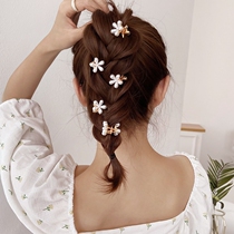 Five-petal flower small grab clamp net red hair card Liu Hai collet decoration