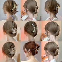 Net Red New Metal Temperament Grab Clip Rear Brain Spoon Pan Hair Clip Female Summer Size Butterfly Knot Hair Clip Pearl Shark Clip