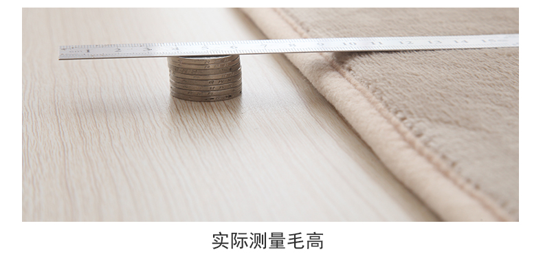 Bắc Âu san hô nhung thảm phòng khách sofa thảm phòng ngủ đầy đủ thảm đầu giường mat cửa sổ đệm - Thảm thảm sàn nhà