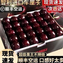 Imported Chilean cherry fruits seasonal fresh cherries for pregnant women a whole box of gift boxes 4j SF air transport