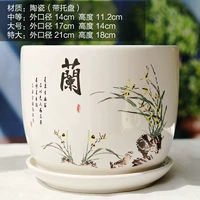 Белая орхидея