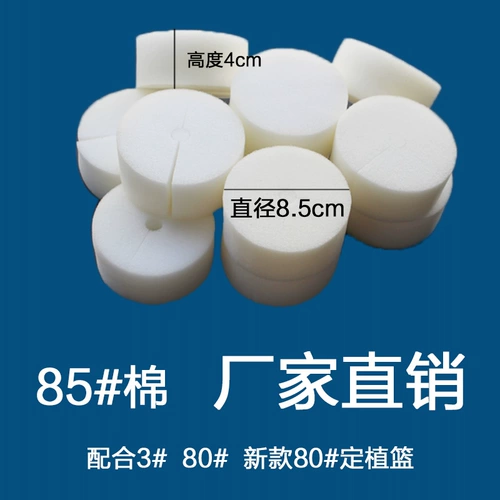 Гидропонные овощи, расположенные с губчатой ​​оборудованием для выращивания хлопковой земли, укоренением, твердыми корнями, посадочными корзинами, новой продукцией асфиксии